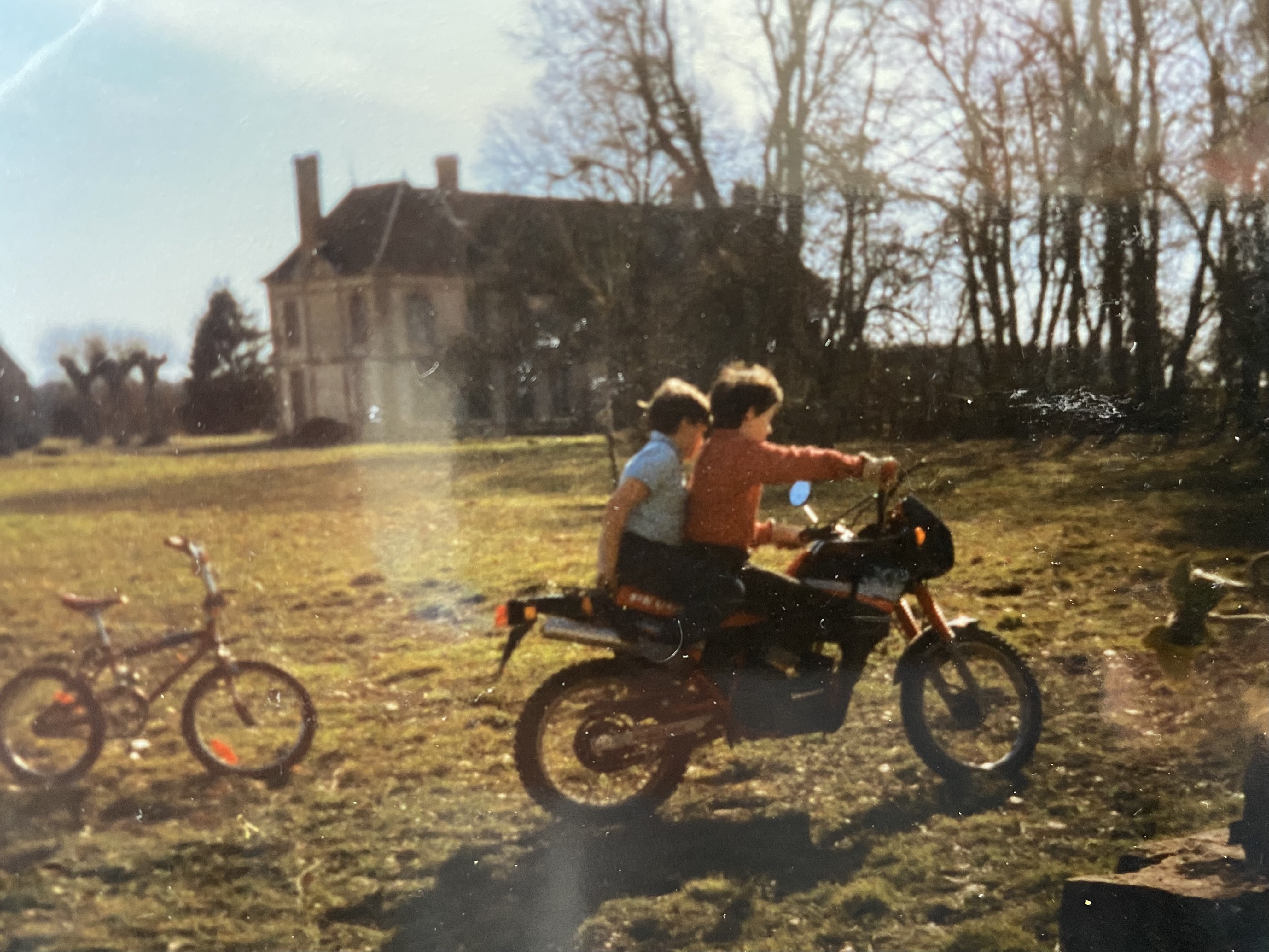 Les grandes haies - fev 1991